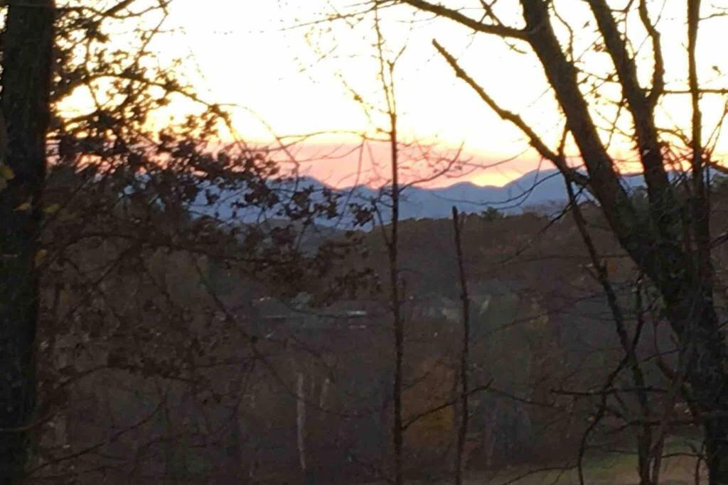 Serenity Views Comfort - Close To City & Parkway! Weaverville Екстериор снимка