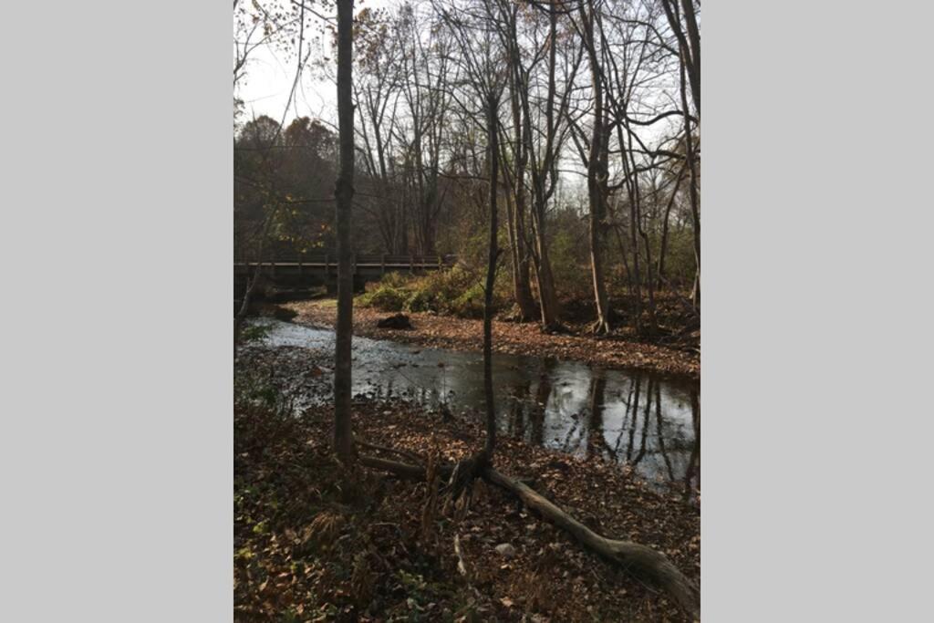 Serenity Views Comfort - Close To City & Parkway! Weaverville Екстериор снимка