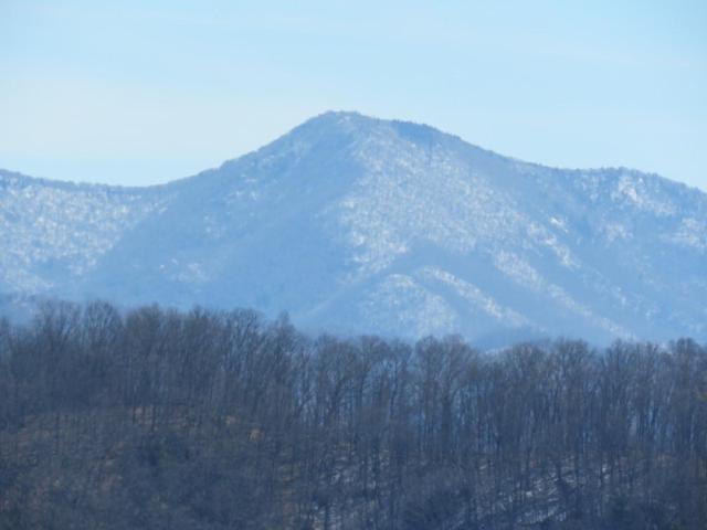 Serenity Views Comfort - Close To City & Parkway! Weaverville Екстериор снимка