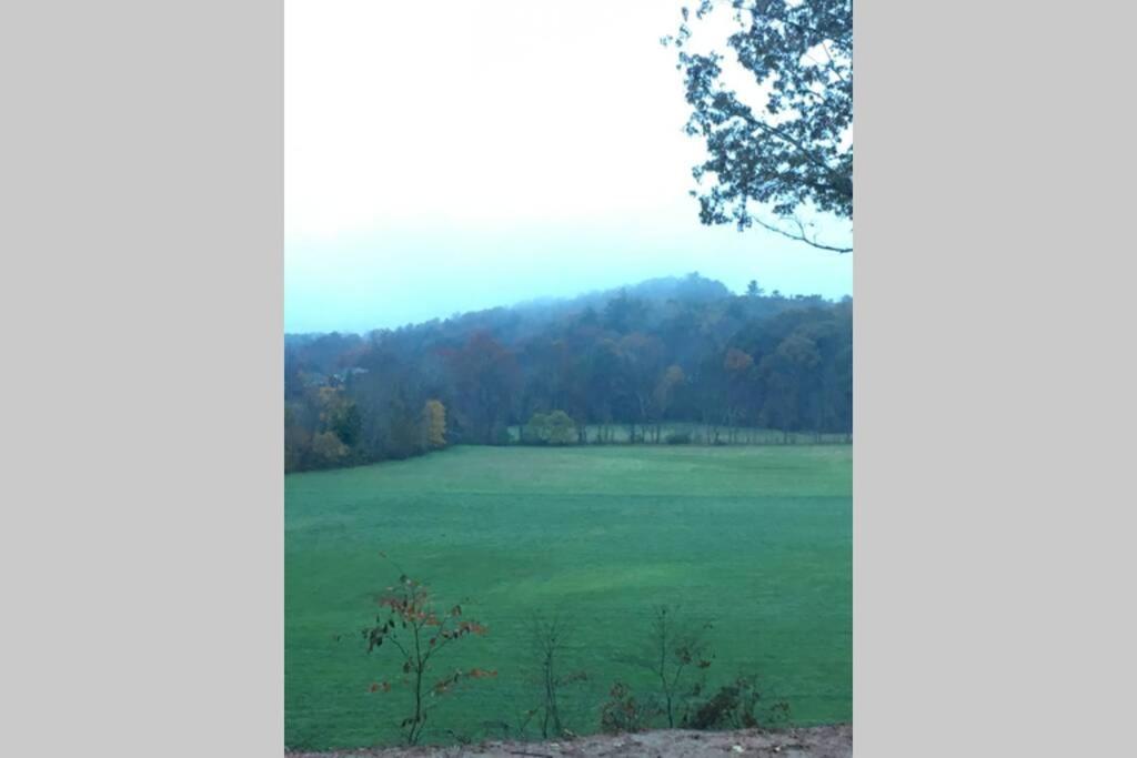 Serenity Views Comfort - Close To City & Parkway! Weaverville Екстериор снимка