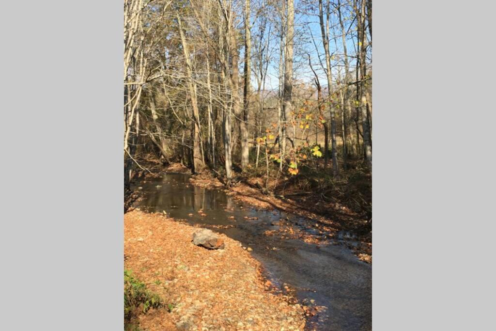 Serenity Views Comfort - Close To City & Parkway! Weaverville Екстериор снимка